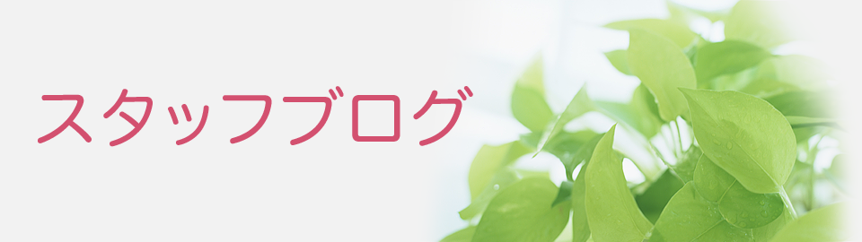 スタッフブログ